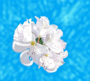 ПР 348.png